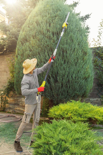 Best Artificial Turf Installation  in Friend, NE